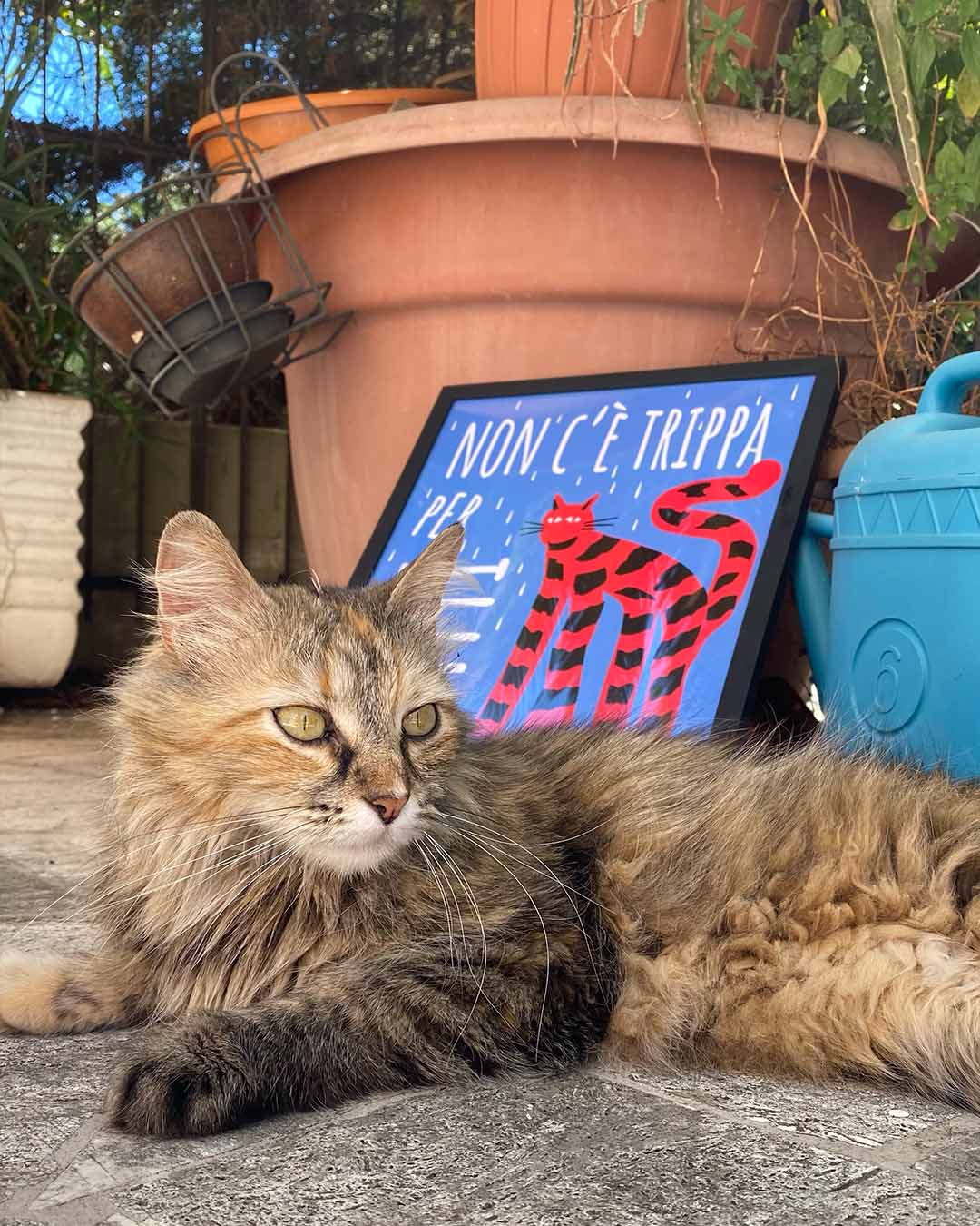 NON C'È TRIPPA PER GATTI